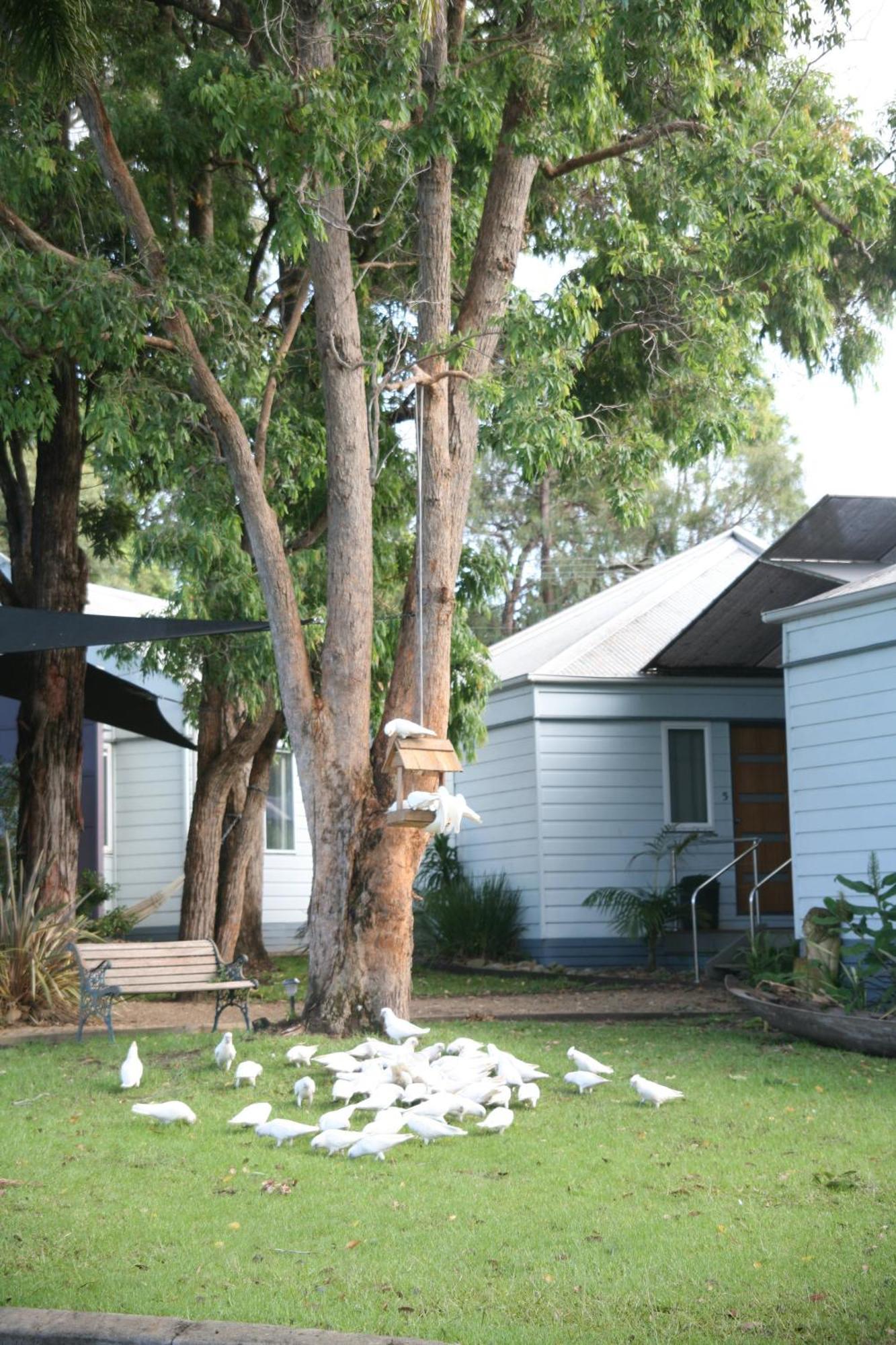 Huskisson Holiday Motel Cabins Jervis Bay Exterior foto
